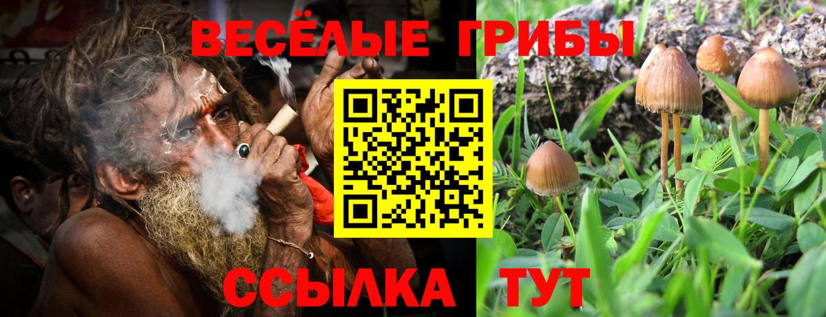 Псилоцибиновые грибы Cubensis Выкса